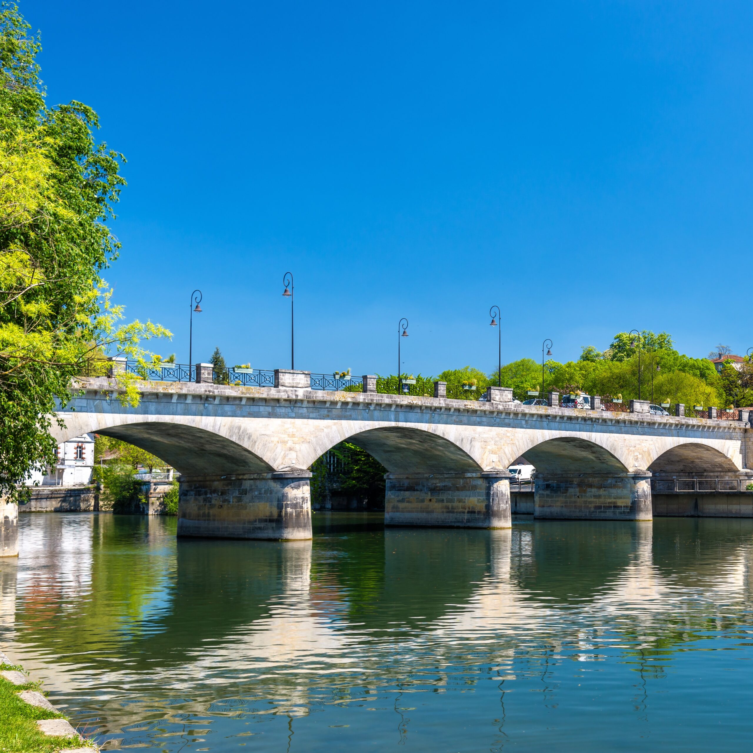 cognac