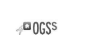 OPTIMA GESTION SEMIRAMIS