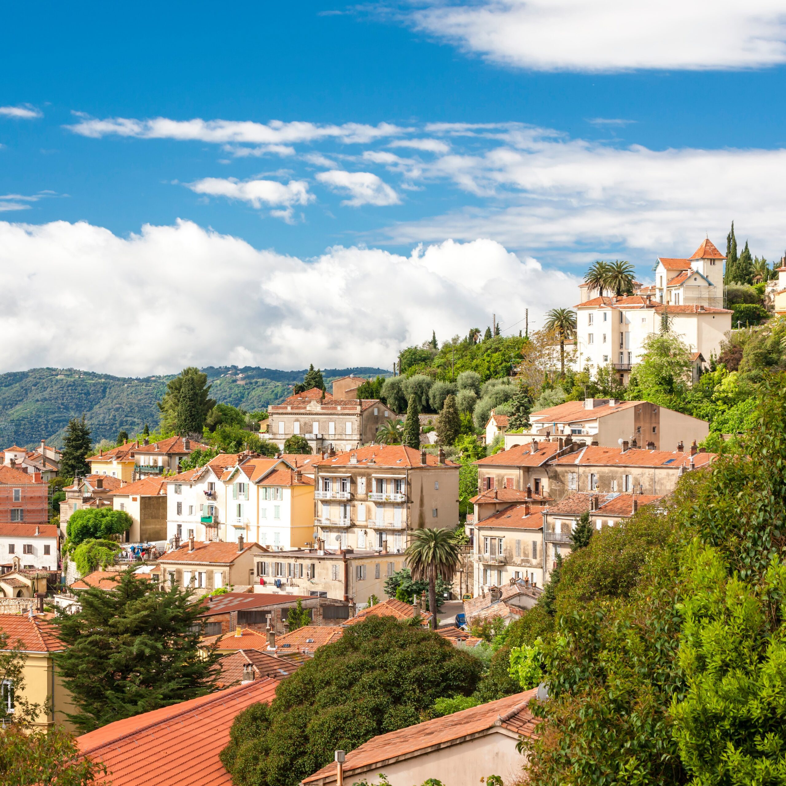 grasse-pegomas-06