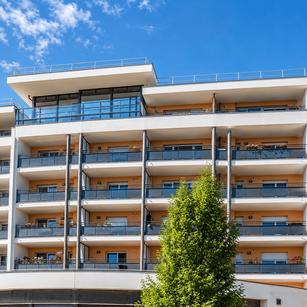 lmnp-investissement-senior-ovelia-annecy-1-6528