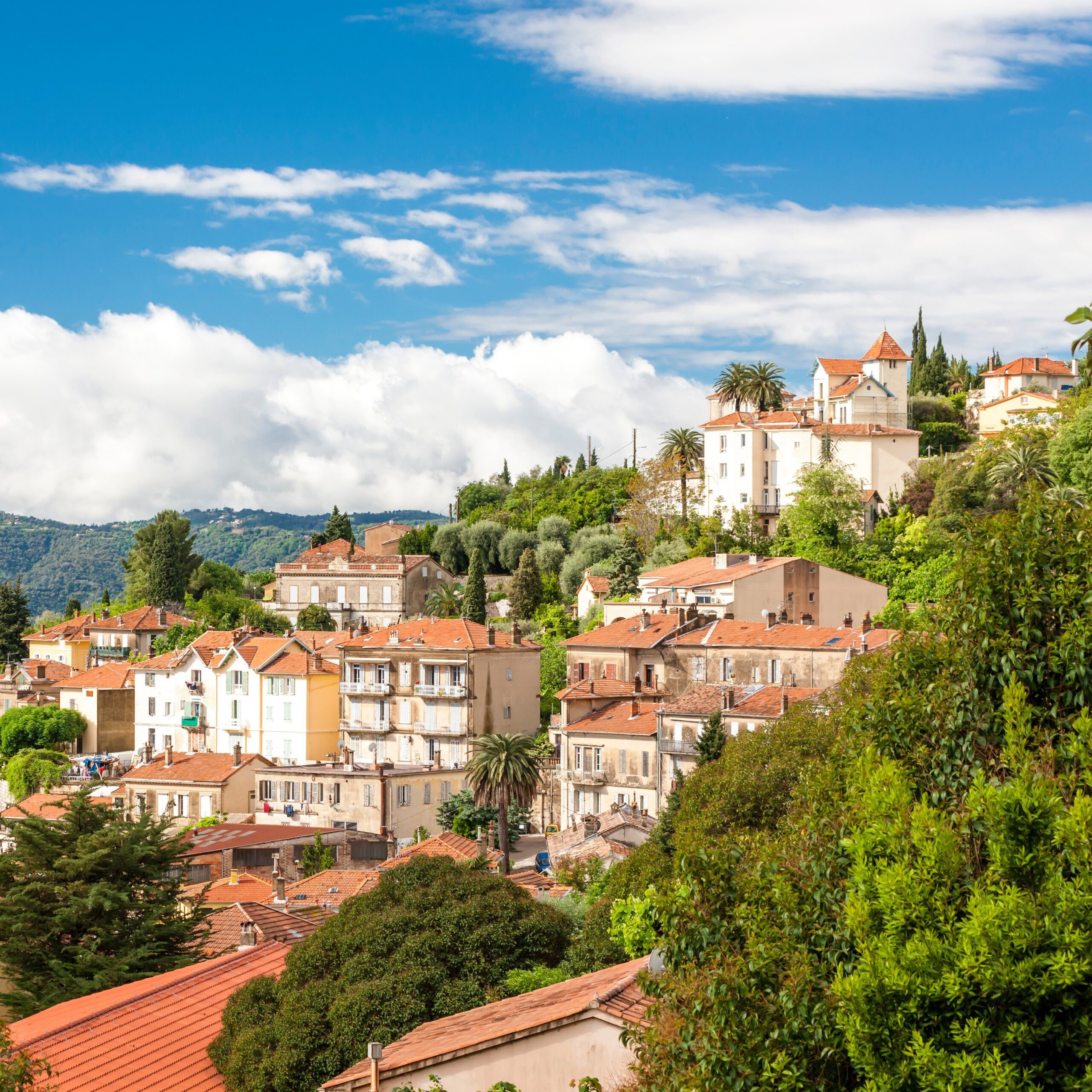 grasse-06